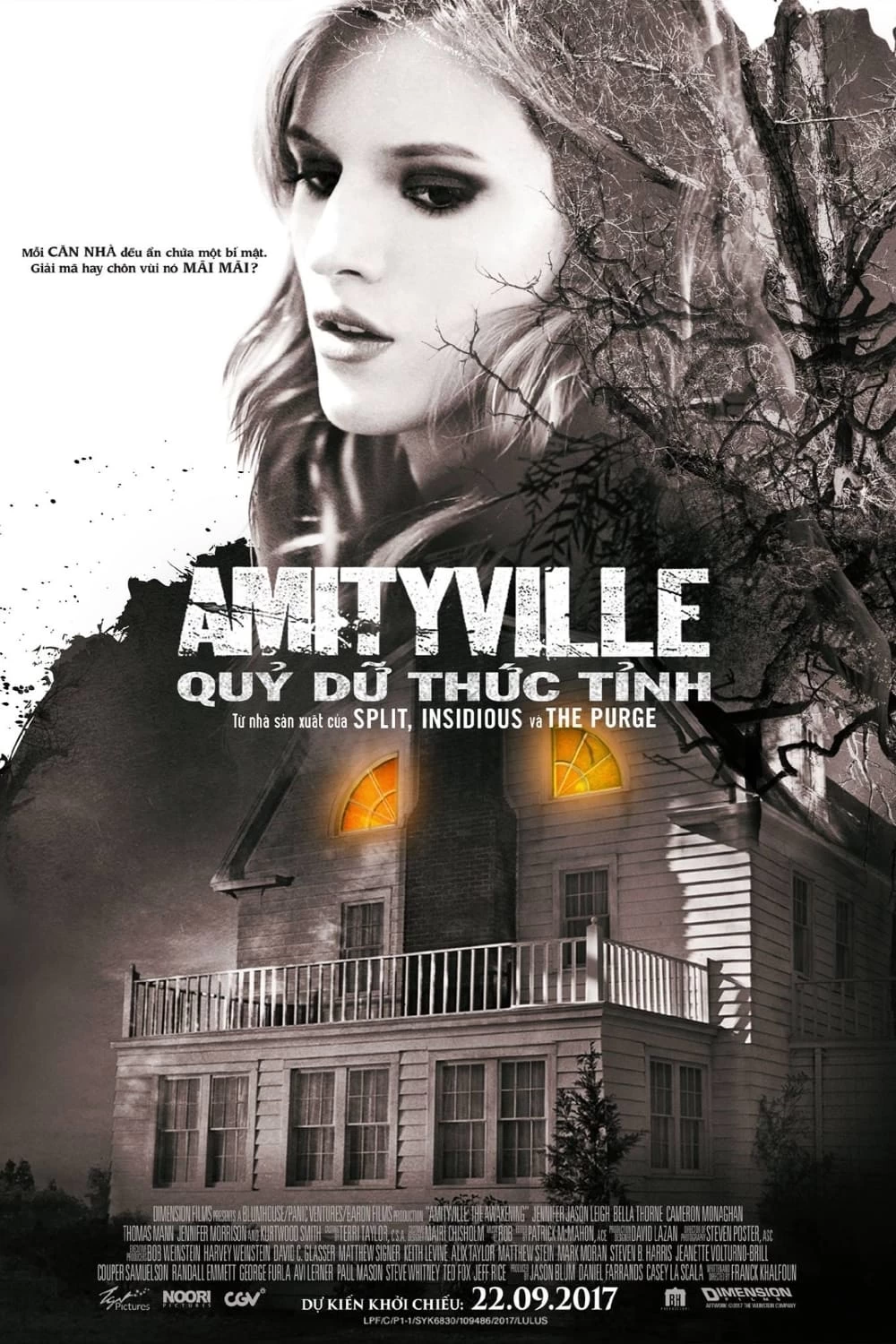 Xem phim Amityville: Quỷ Dữ Thức Tỉnh - Amityville: The Awakening (2017)