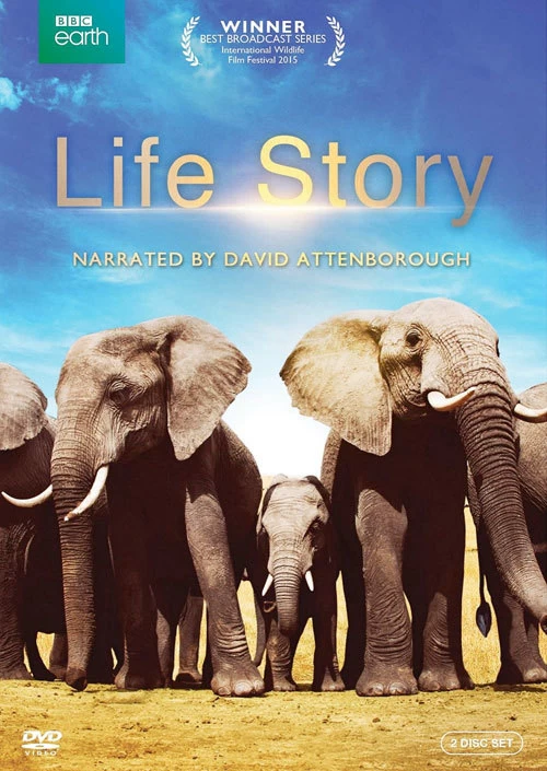 Xem phim Câu Chuyện Cuộc Sống - Life Story (2014)