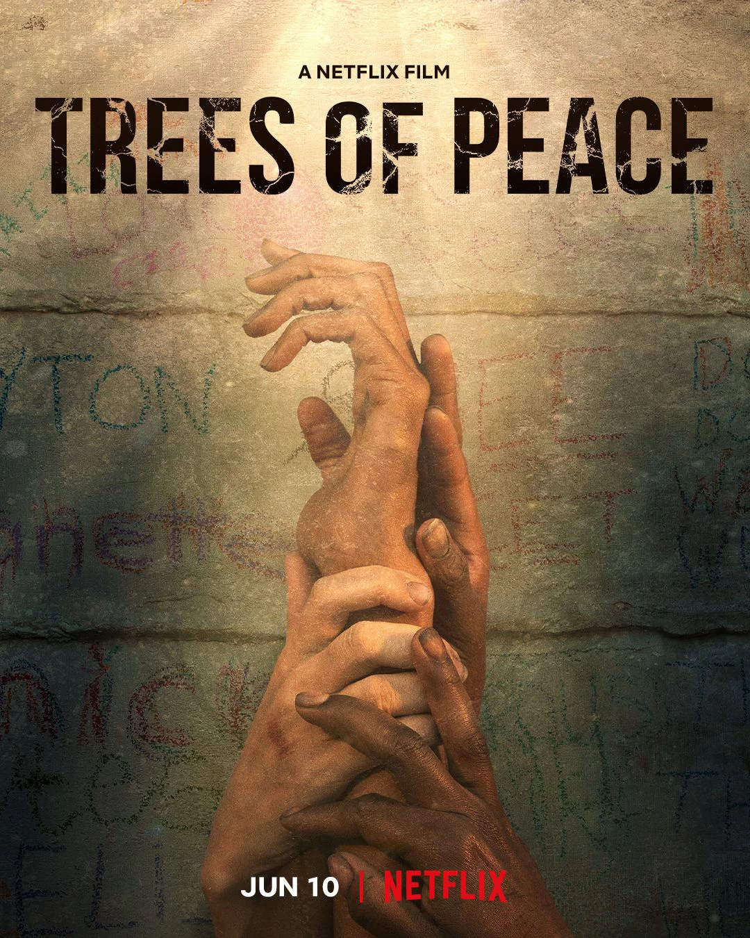 Xem phim Cây Hòa Bình - Trees Of Peace (2022)