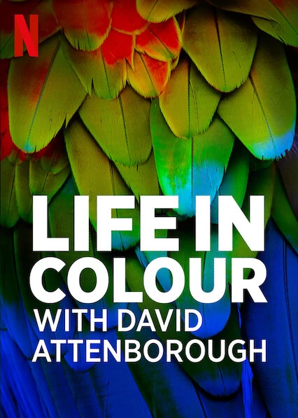 Xem phim David Attenborough: Sự Sống Đầy Màu Sắc - Life In Colour With David Attenborough (2021)