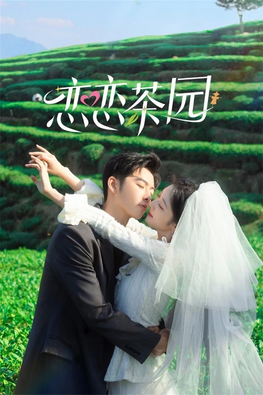 Xem phim Đồi Trà Tình Yêu - Love in the Tea Garden (2024)