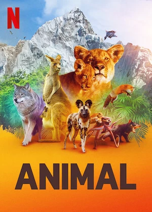 Xem phim Động Vật (Phần 1) - Animal (Season 1) (2021)