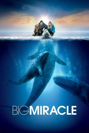 Xem phim Giải Cứu Cá Heo - Big Miracle (2012)