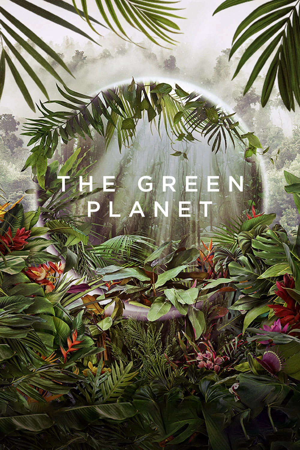 Xem phim Hành Tinh Xanh - The Green Planet (2022)