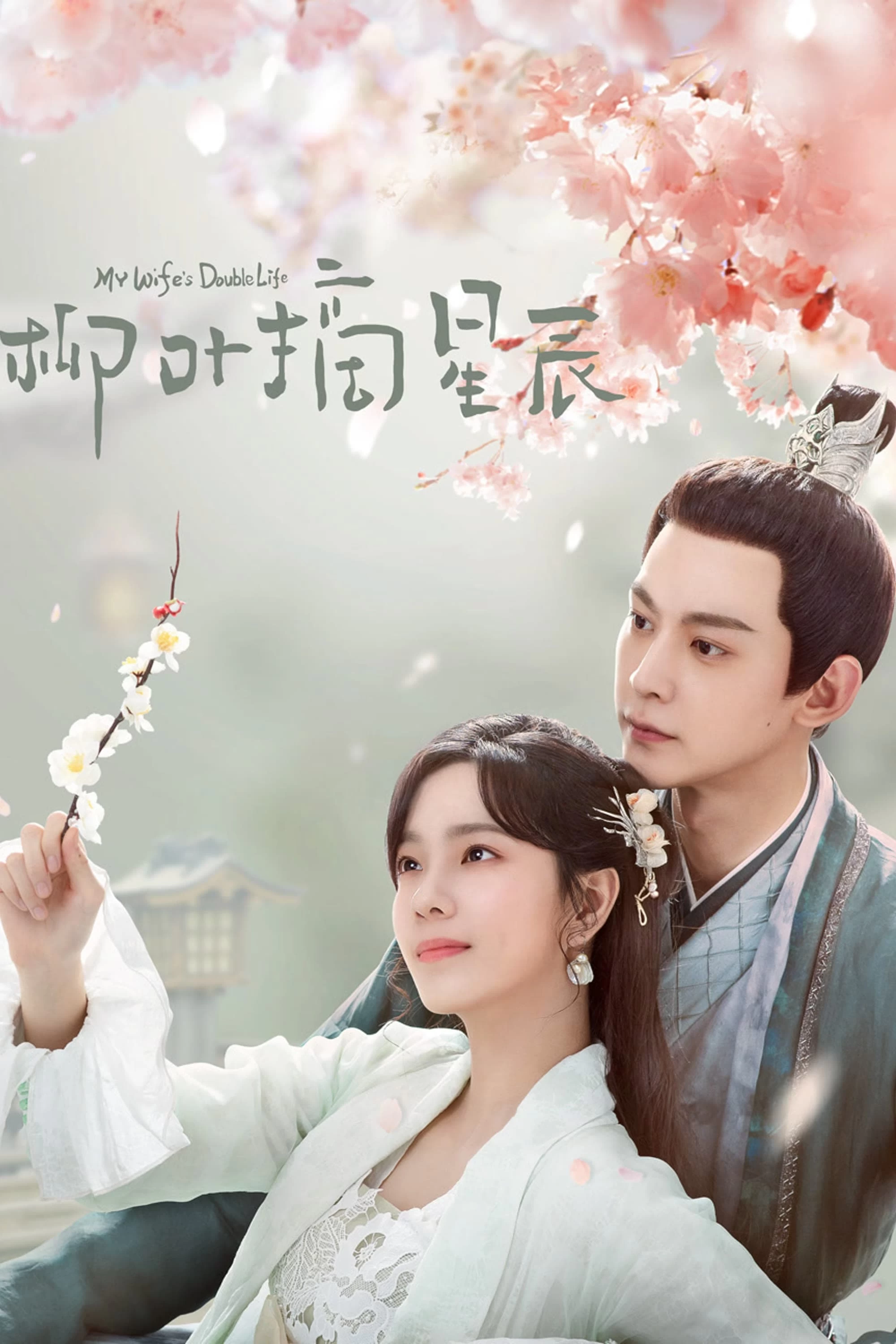 Xem phim Liễu Diệp Trích Tinh Thần - My Wife's Double Life (2024)