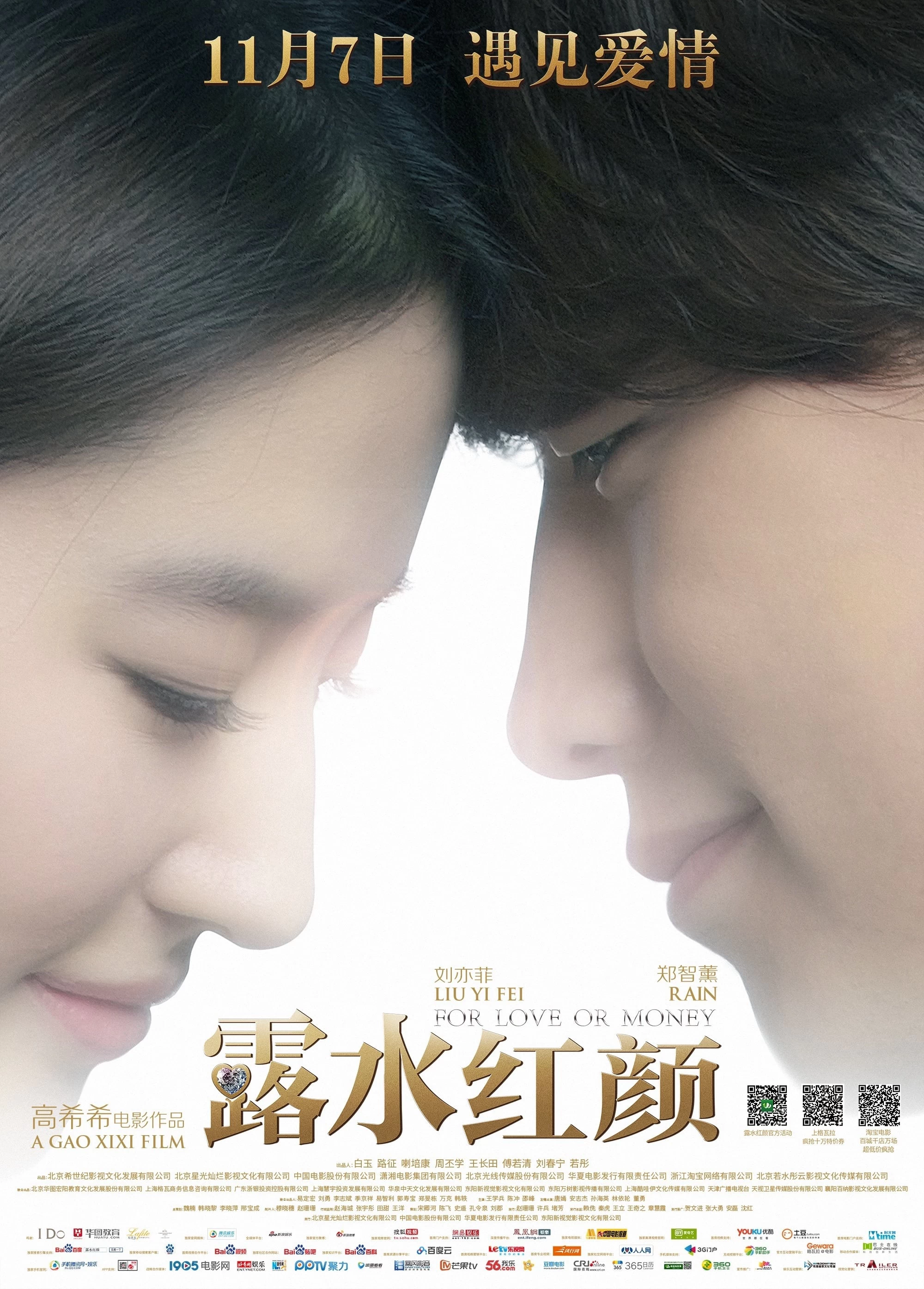 Xem phim Lộ Thủy Hồng Nhan - For Love Or Money (2014)