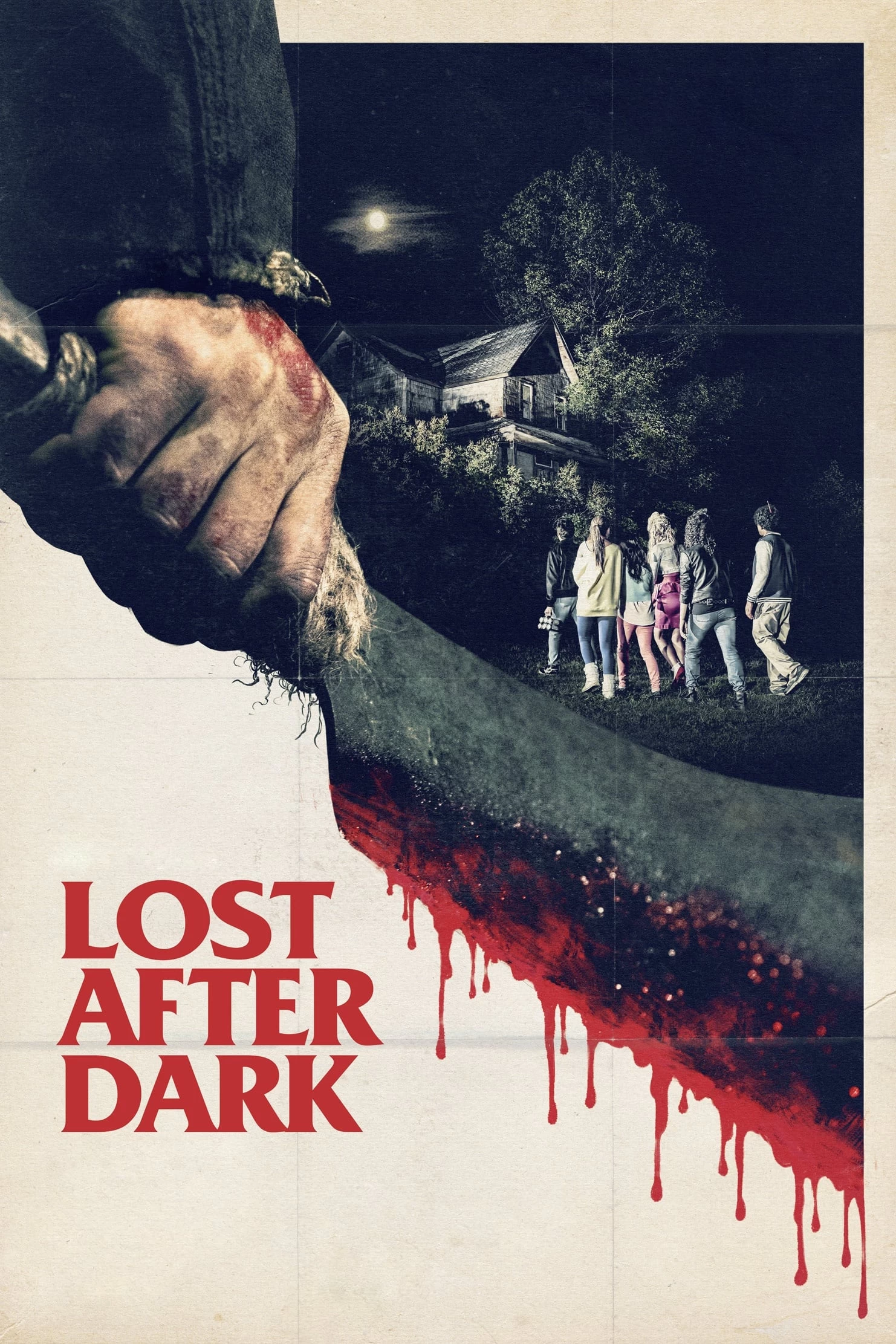 Xem phim Mất Tích Trong Bóng Đêm - Lost After Dark (2014)