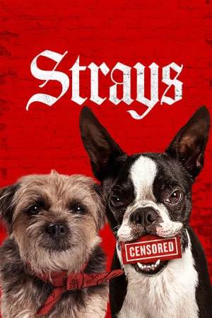 Xem phim Những Chú Chó Bụi Đời - Strays (2023) (2023)