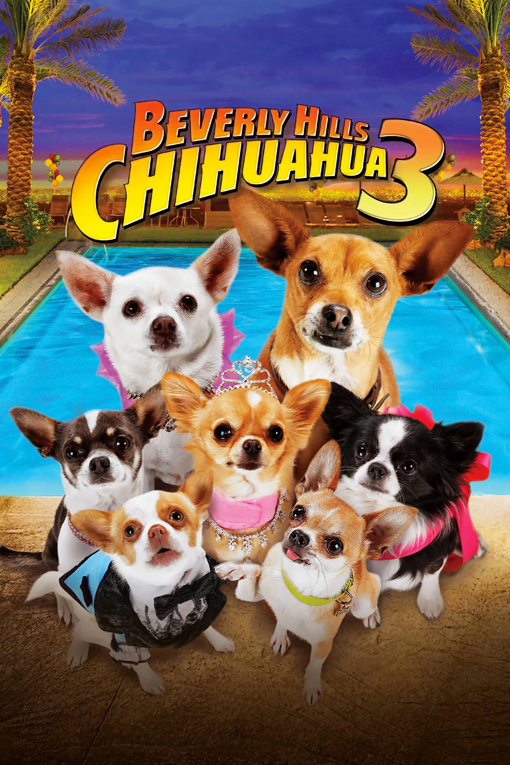 Xem phim Những Chú Chó Chihuahua 3 - Beverly Hills Chihuahua 3: Viva La Fiesta! (2012)