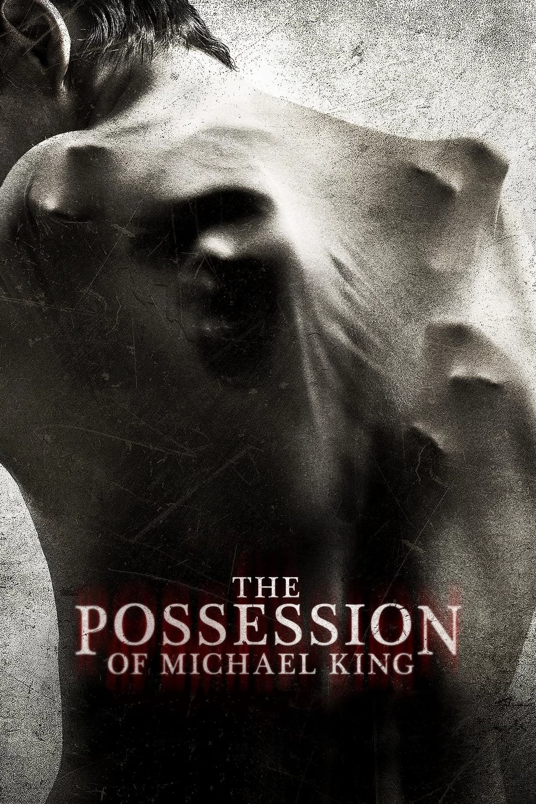 Xem phim Nỗi Ám Ảnh của Michael King - The Possession of Michael King (2014)