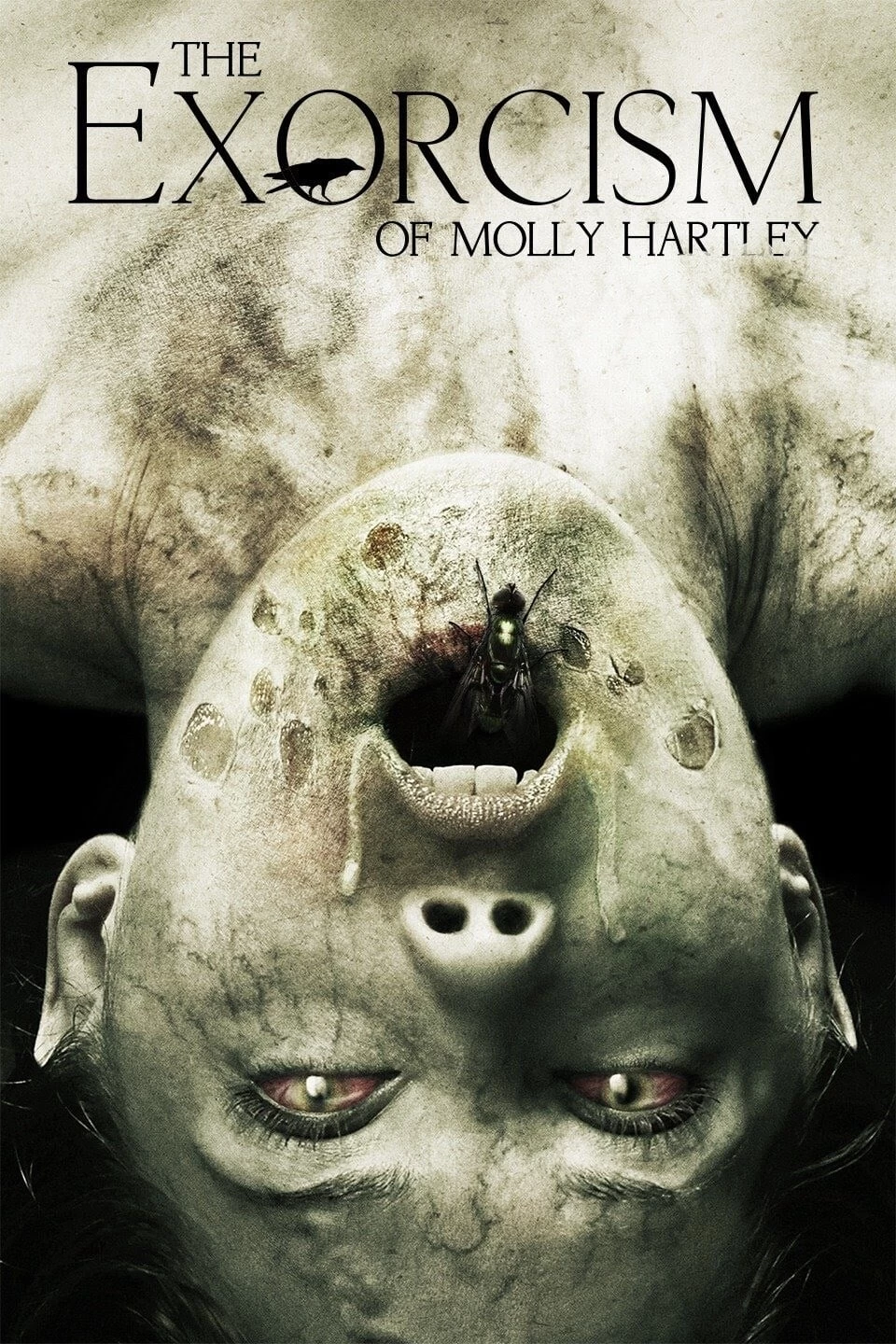 Xem phim Nỗi Ám Ảnh Của Molly - The Exorcism of Molly Hartley (2015)