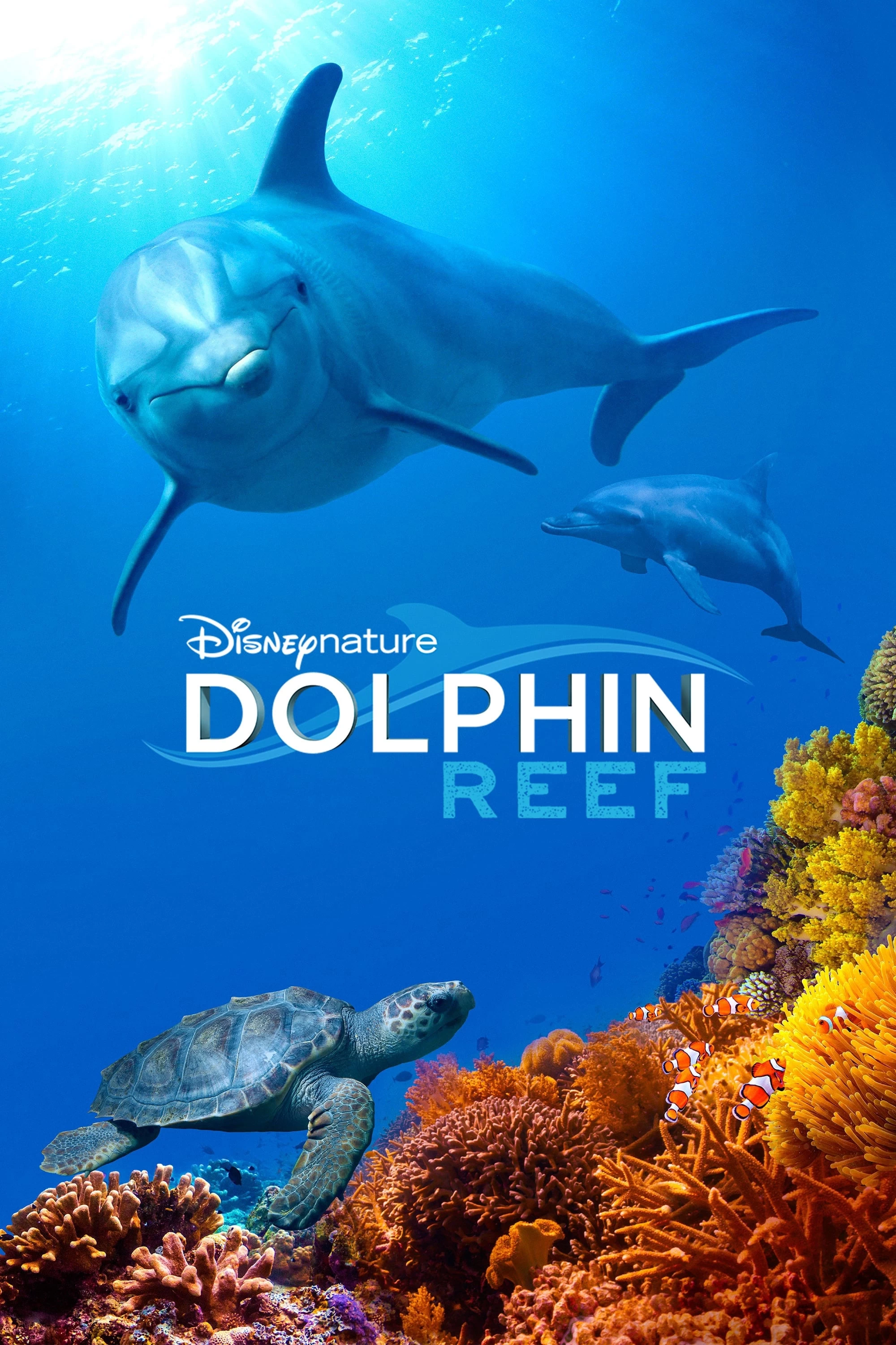 Xem phim Rạn San Hô Cá Heo - Dolphin Reef (2018)