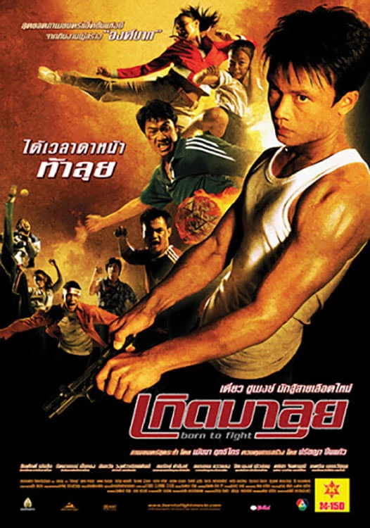 Xem phim Sinh Ra Để Chiến Đấu - Born to Fight (2004)