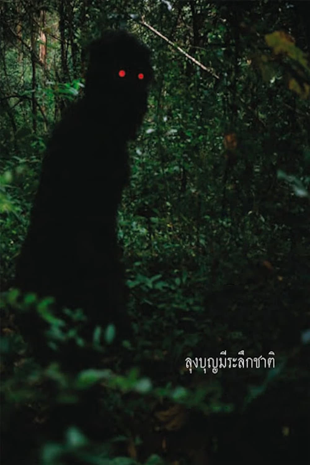 Xem phim Uncle Boonmee Who Can Recall His Past Lives - Uncle Boonmee Who Can Recall His Past Lives (2010)