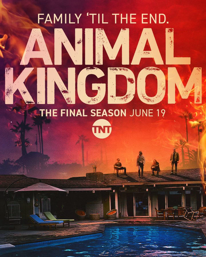 Xem phim Vương Quốc Động Vật (Phần 6) - Animal Kingdom (Season 6) (2022)