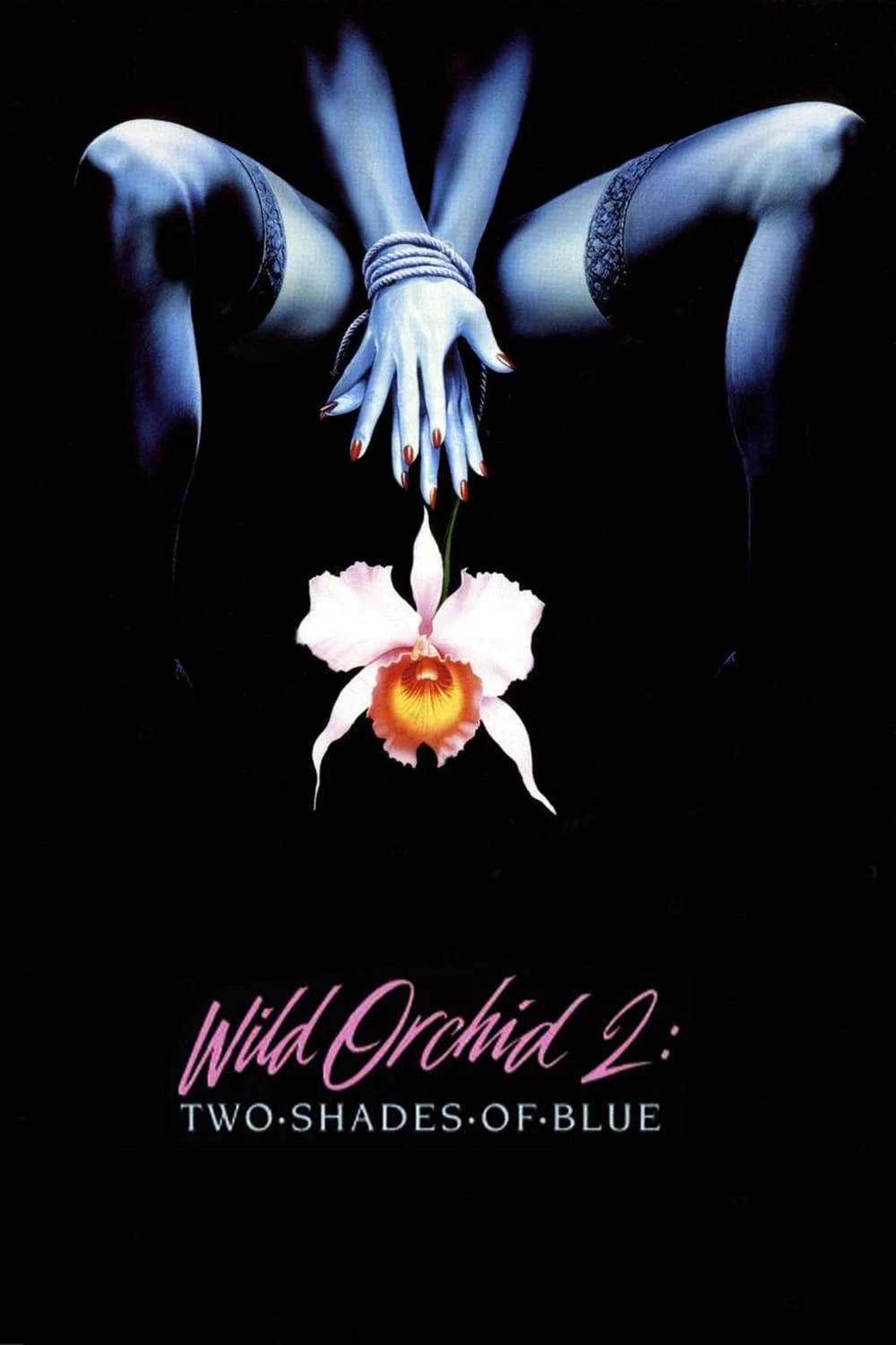 Xem phim Wild Orchid II: Two Shades of Blue - Wild Orchid II: Two Shades of Blue (1991)